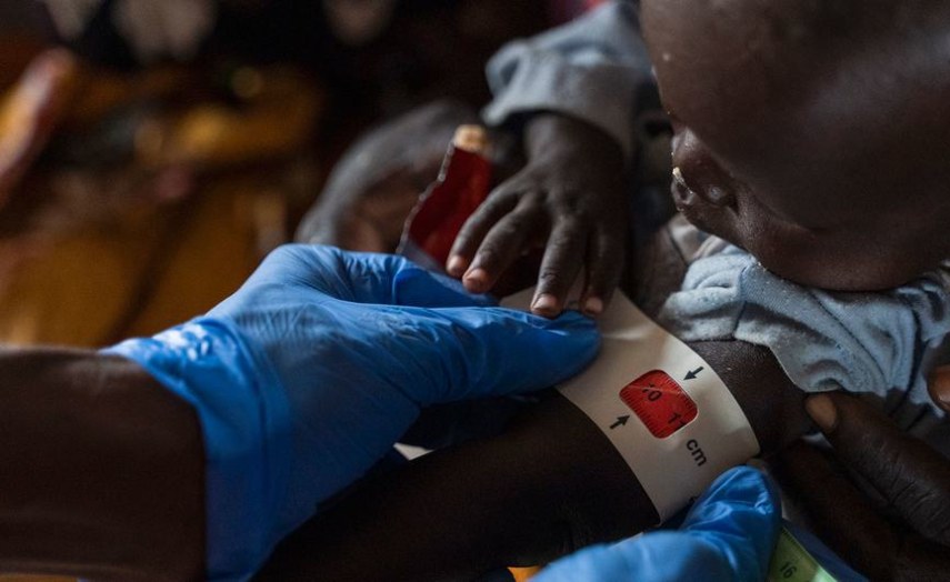 NGO Demands Strict Laws For Digital Violence Against Women, Girls