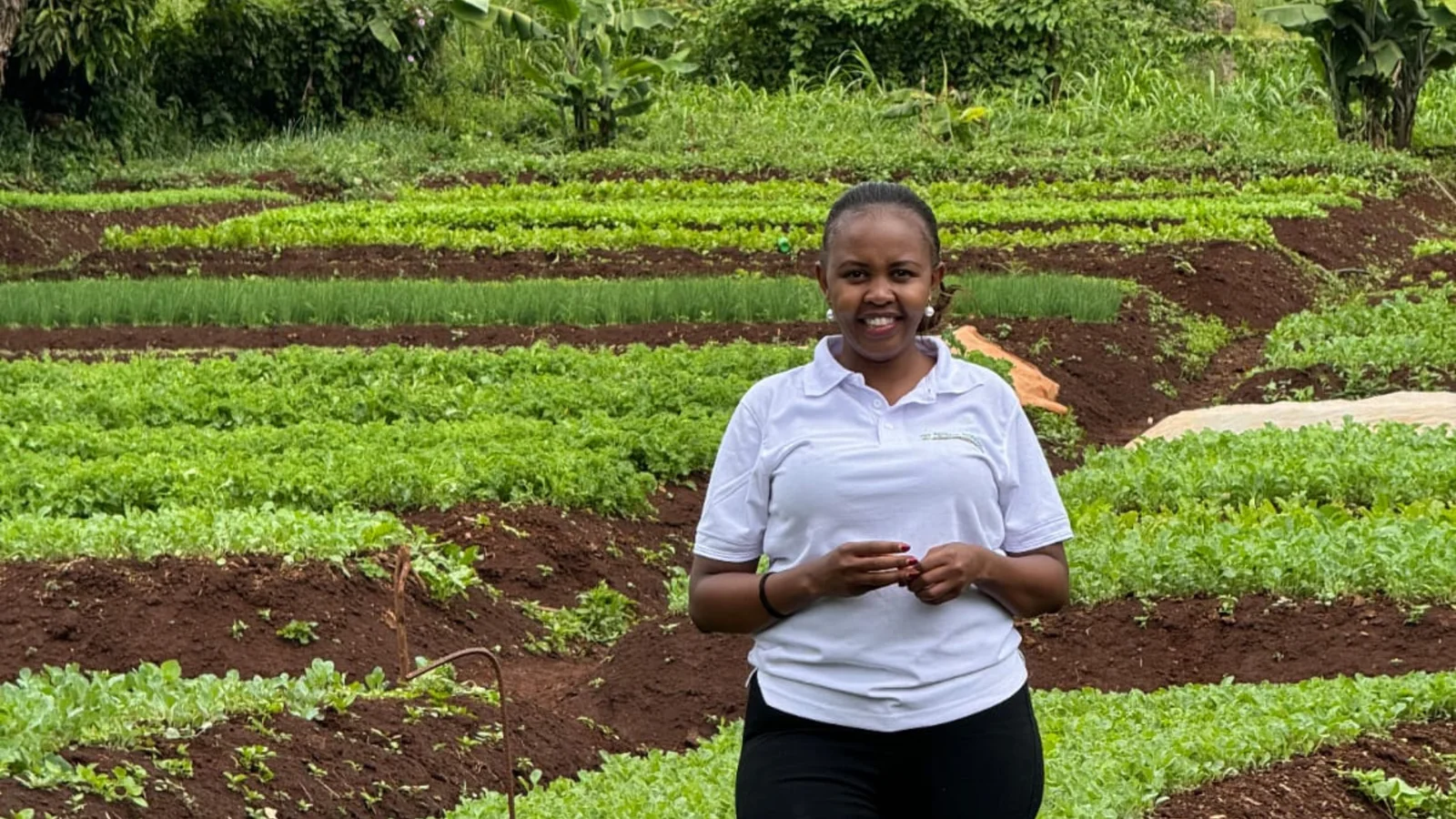 From family farm to climate tech: How one Kenyan woman is helping farmers outsmart drought